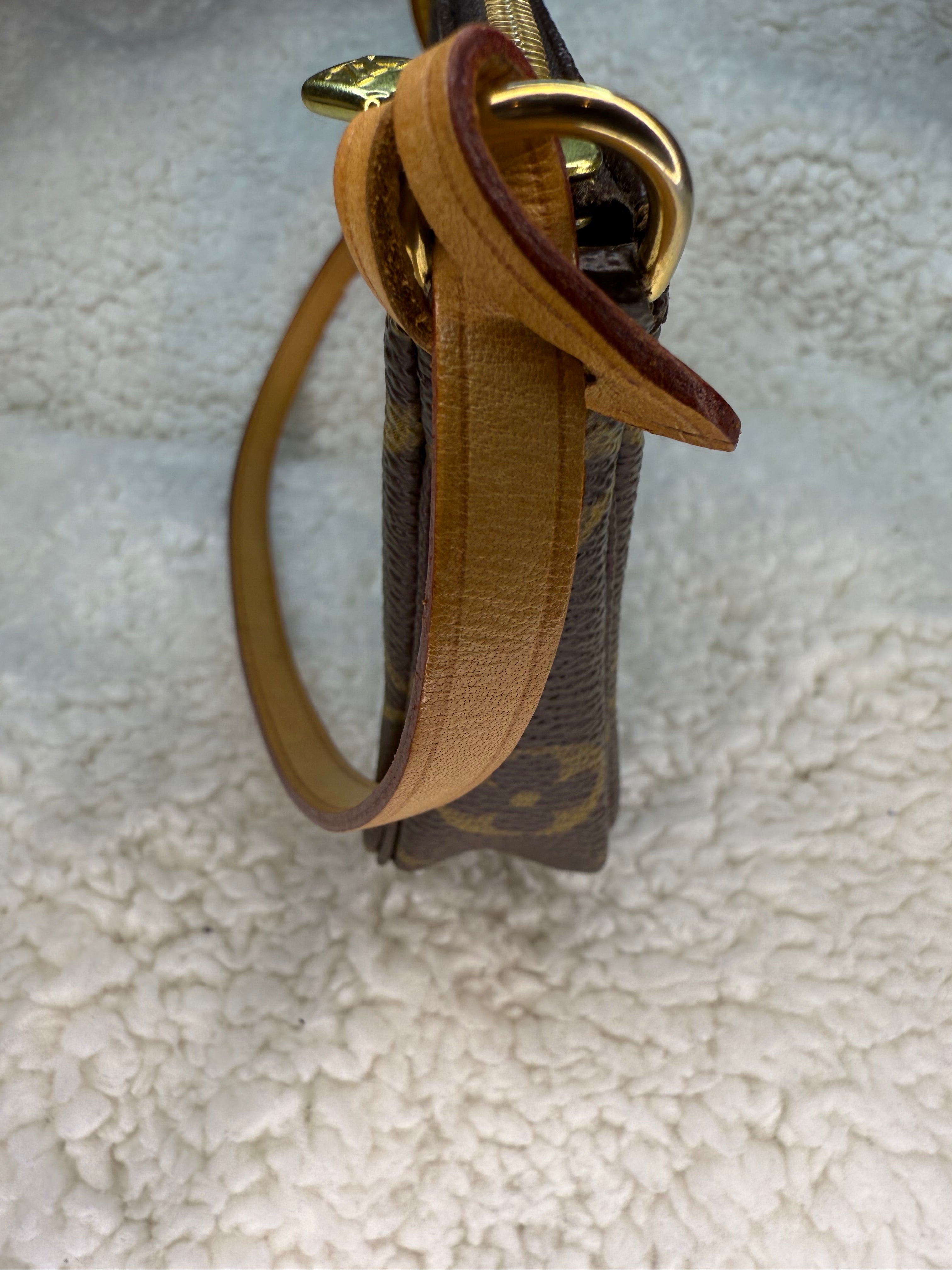 Louis Vuitton Pochette Accessories Mini