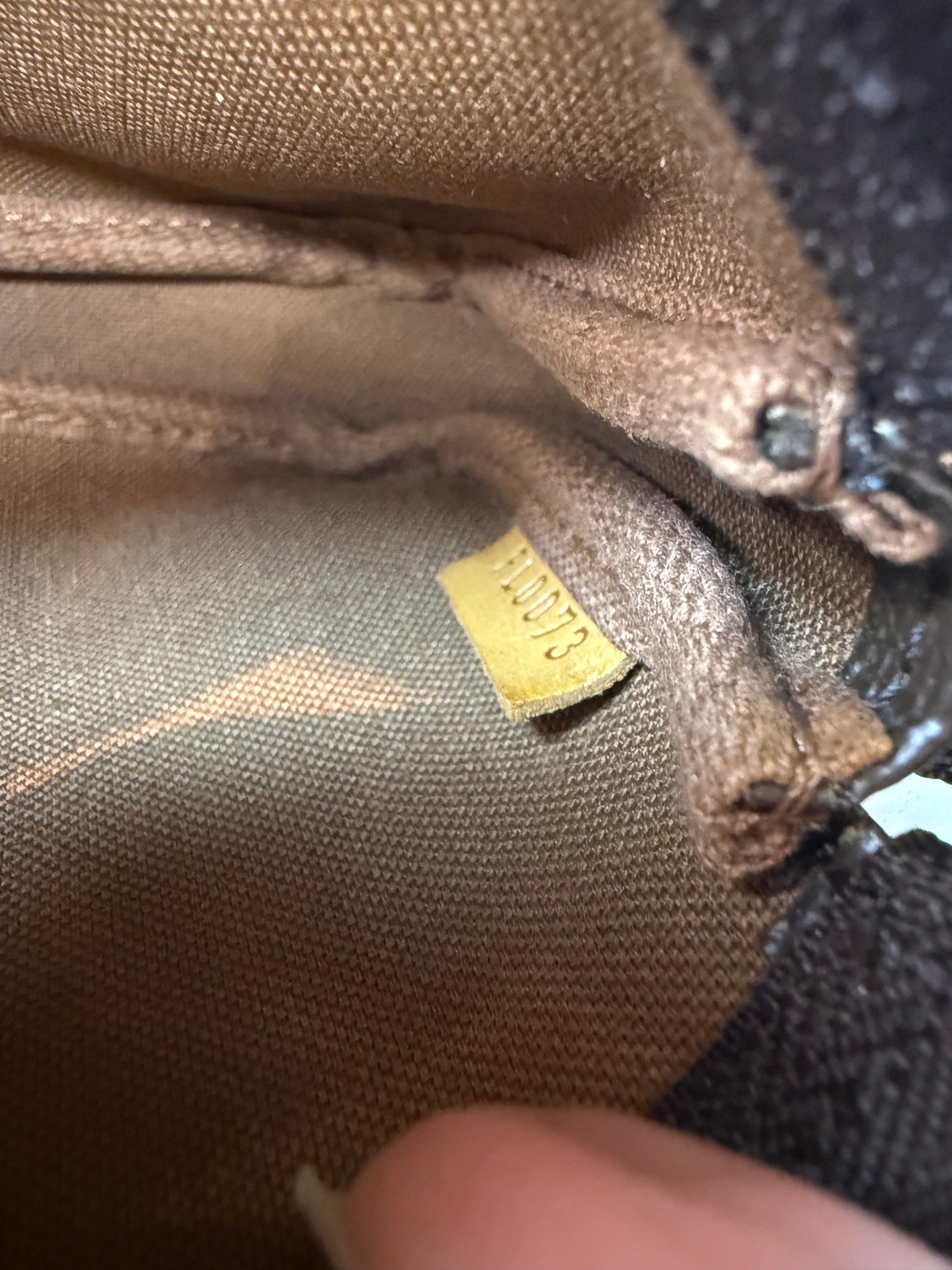 Louis Vuitton Pochette Accessories Mini